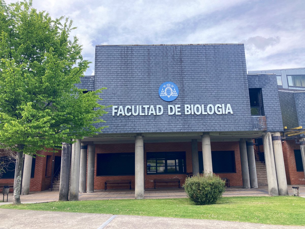 Em_huxleyi's tweet photo. Returning from a Twitter hiatus to share I’m here at @uniovi_info for the next 1.5 months to study gooseneck barnacles (aka “percebes”) for my @IMBRSea professional practice! (1/3) https://t.co/7laO19FZh1