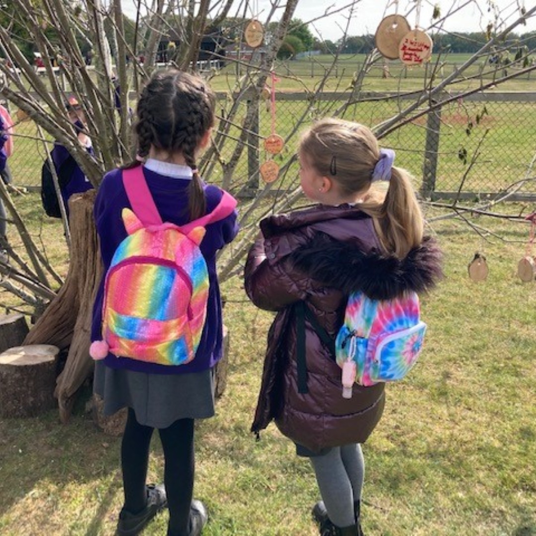 Green Light Trust tweet media