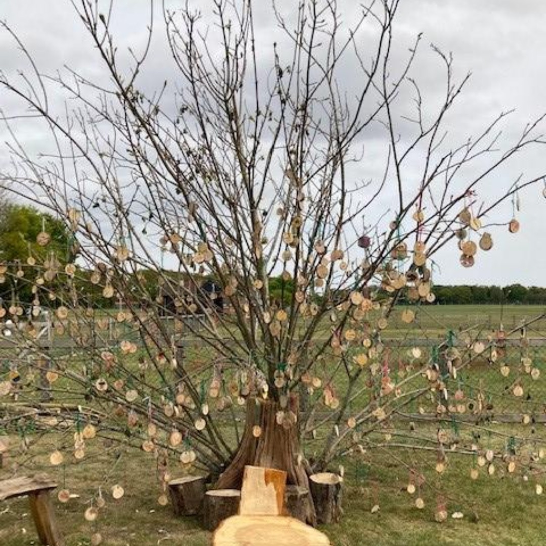 Green Light Trust tweet media