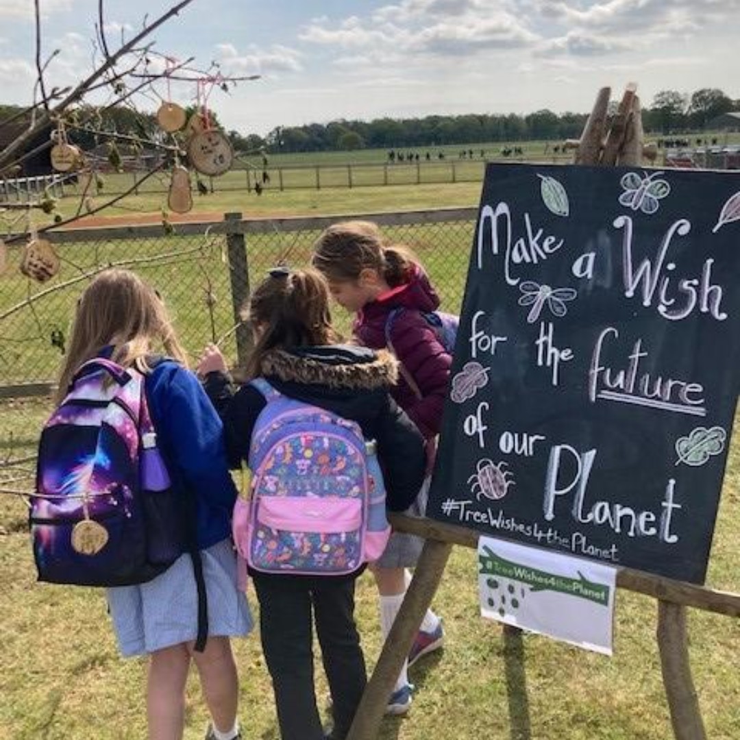 Green Light Trust tweet media