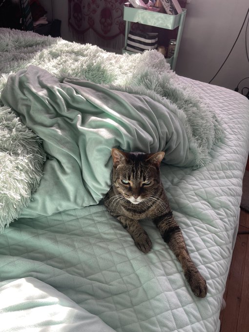 A visionary https://t.co/qhmwZDN0fu<a href="/tag/votehimout2020"class="tags"><span>#votehimout2020</span></a>