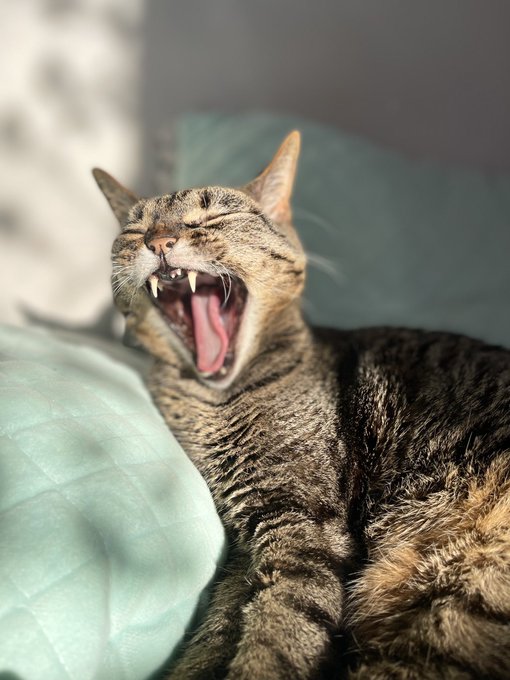 A visionary https://t.co/qhmwZDN0fu<a href="/tag/votehimout2020"class="tags"><span>#votehimout2020</span></a>