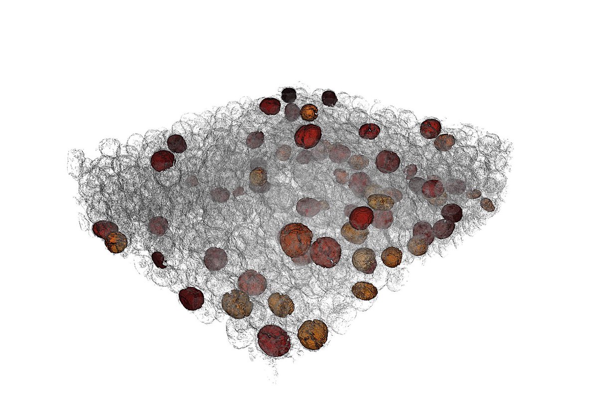 How quickly a #battery🔋 electrode decays depends on properties of individual particles in the battery – at first. 
Later on, the interaction of particles matters more, as scientists show in a report in <a href="/ScienceMagazine/">Science Magazine</a> today.

▶bit.ly/3vTDEFi