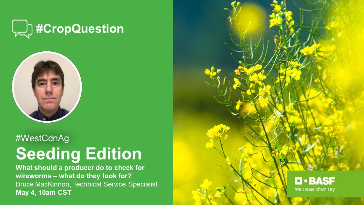 BASF Agricultural Solutions Canada tweet media