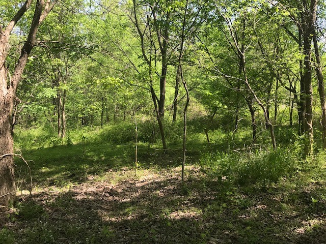 OneStopRealtyTN's tweet photo. New Listing! $79,900.00, 0BR, 0BA, 0 Gravel Hill Road, Bethpage, TN 37022, Full Details https://t.co/PLEglwkz24 https://t.co/87orpmeI9I