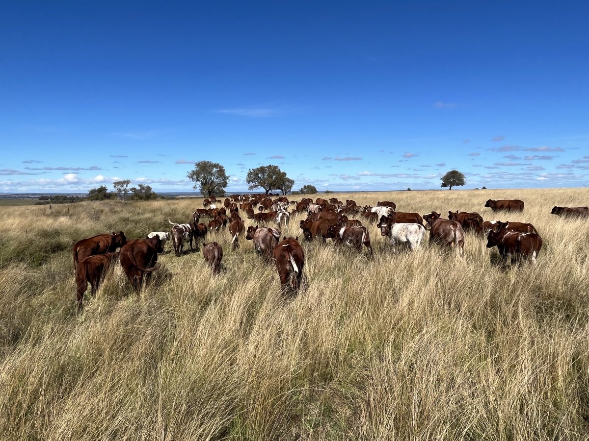 Deb Charlton tweet media