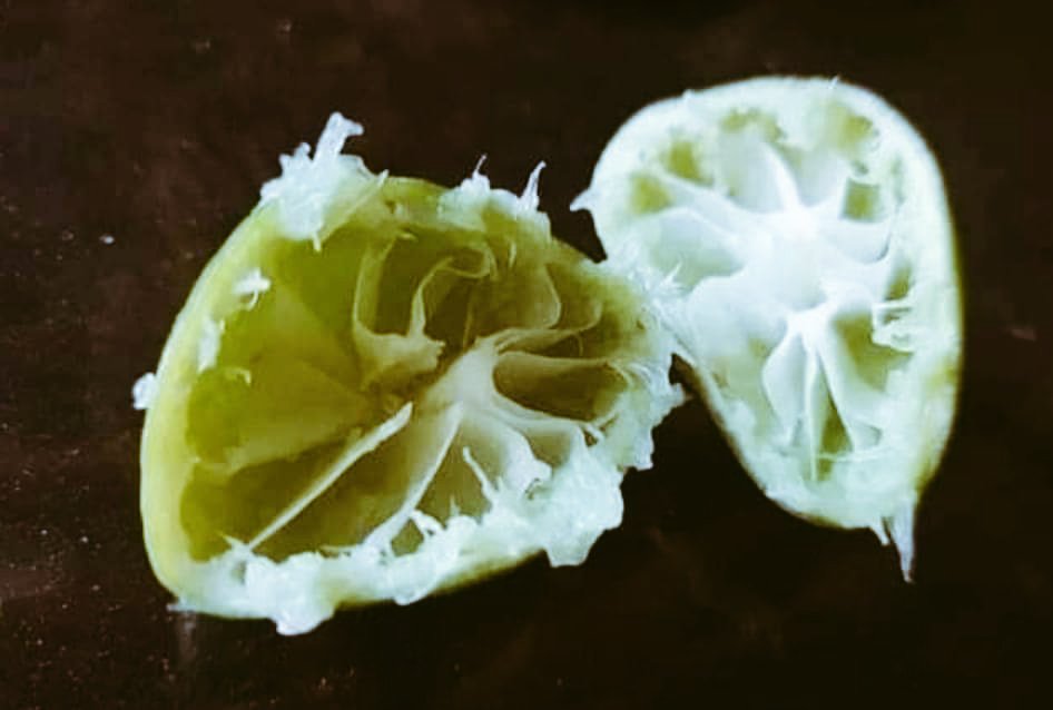Kanchanja's tweet photo. एक बात पूछनी थी....??
पैसे वसूलने लायक निचुड गये हैं??
और निचोड़ना बाकी है...🤔🤔
#randomquery #LemonPrice #justasking https://t.co/Rm5ivGe8pl