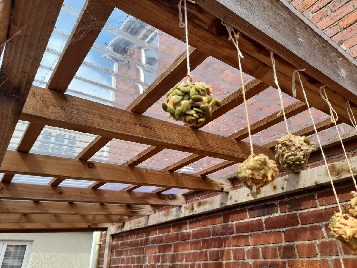 andyacttraining's tweet photo. Learners have planting chilies and making pine cone bird feeders.
Get in touch to find out more.
#jgw #acttraining #bridgend #careerswales https://t.co/wUi4xVEIx6