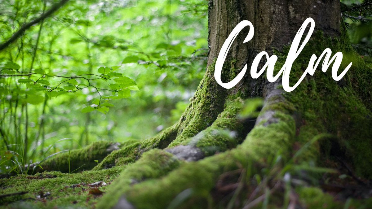 And this is #ambientmeditation for #calm 

Link-youtube.com/watch?v=Xfqj2g…

#ambientmusic #ambientmeditationmusic #musicforstressrelief #musicforcalm #calmmusic #ambient #allthingsambient