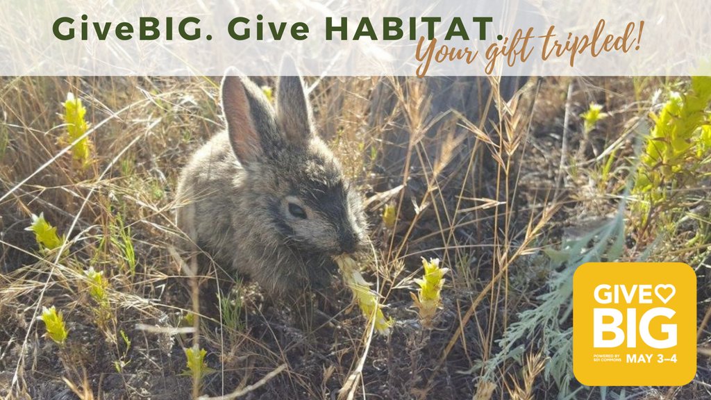 Wa Wildlife & Rec tweet media