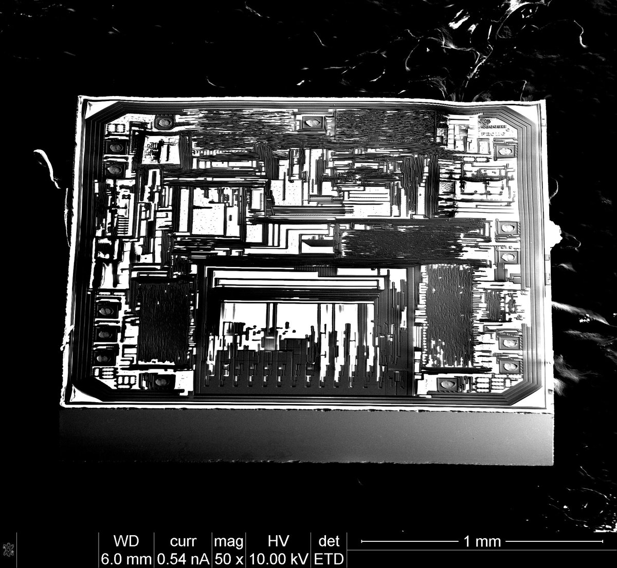 Texplained_RE's tweet image. This is the top view of our #MSP430 chip scanned with a x5 objective and a SEM scan with a 52° tilt before metal deposition.

#TexplainedTT #ICReverseEngineering