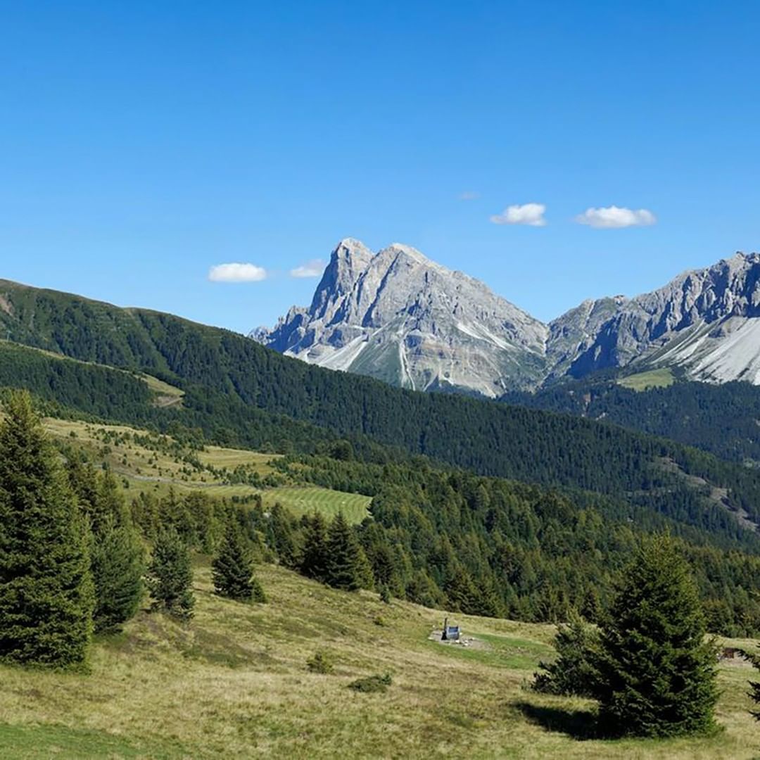 quomi_it's tweet photo. Dentro ogni goccia dei prodotti Plose ci sono tutte le montagne dell’Alto Adige. Tutta la nitidezza delle #Dolomiti. I succhi BioPlose sono biologici, non contiengono tracce di coloranti, conservanti o acidificanti. Scopri di più al link https://t.co/SA5u7VYSmm
#quomi #produttori https://t.co/VoDtgXPHWu