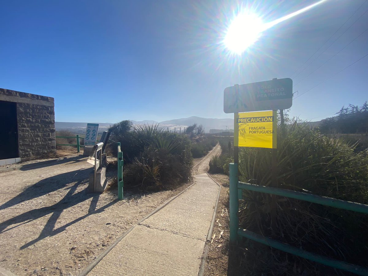 Hemos instalado señales de precaución por presencia de fragata portuguesa en Playa Amarilla, Comuna de Los Vilos. <a href="/DGTM_Chile/">DIRECTEMAR - Armada de Chile</a> <a href="/muni_losvilos/">Municipalidad de Los Vilos</a> <a href="/MiRadiols/">Mi Radio</a> <a href="/maritgobcoq/">Gob. Marítima de Coquimbo</a> <a href="/BoteSalvavidasL/">bote salvavidas los vilos</a>