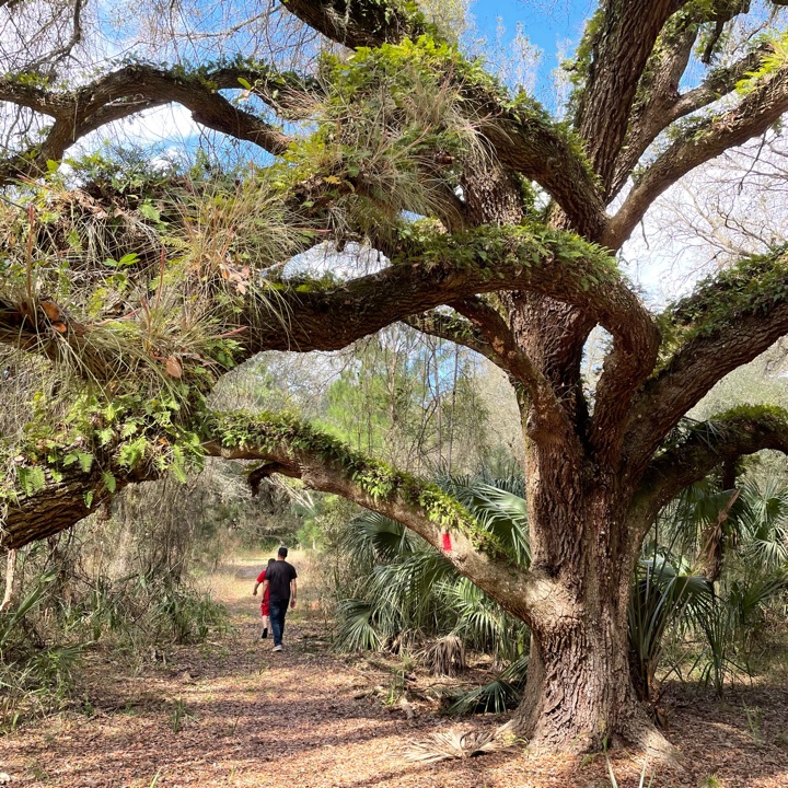 MyFWC's tweet photo. Play FWC’s #FLWildQuest scavenger hunt with family & friends this weekend!! #WMAzing Join the Quest: https://t.co/1voNDEFk86 https://t.co/qNhaVMK8q6 https://t.co/KMg8lM8YnE