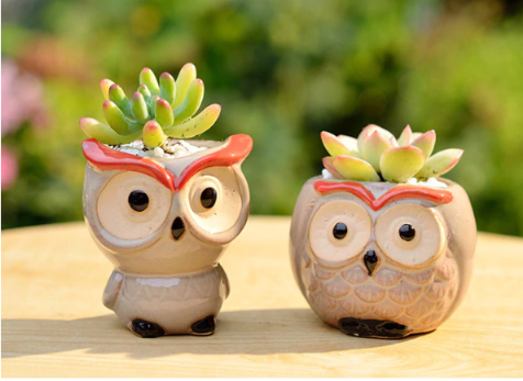 SandRshop21's tweet photo. Cute as can be! There are several of these owl characters waiting for a small succulent plant! See them all on our website! #smallsucculentpots #smallowlpots #owlsucculentpots #owlsucculentplanters #tinyowlplantpots
https://t.co/TTSjPhoqp0 https://t.co/TSrKsQ5L1l