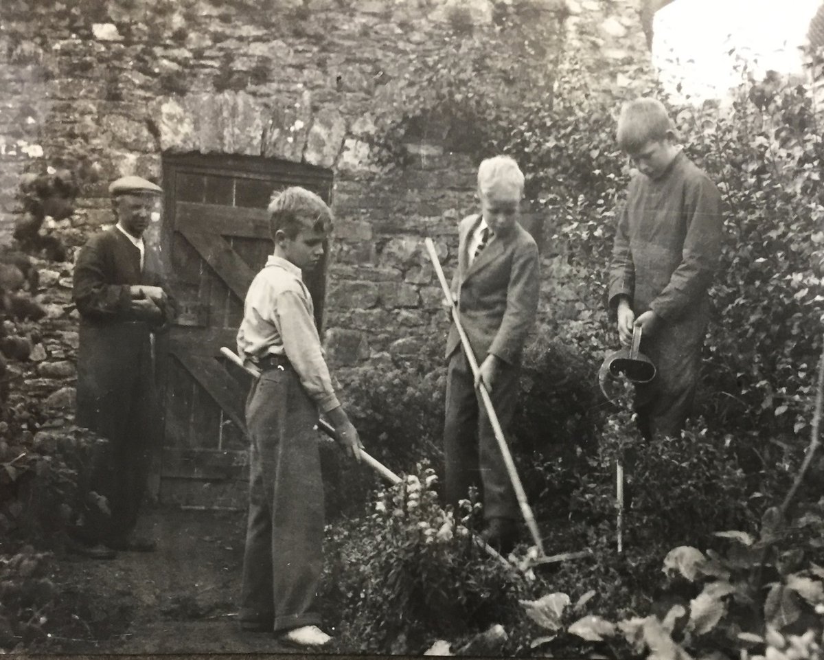 Anna Neima tweet media