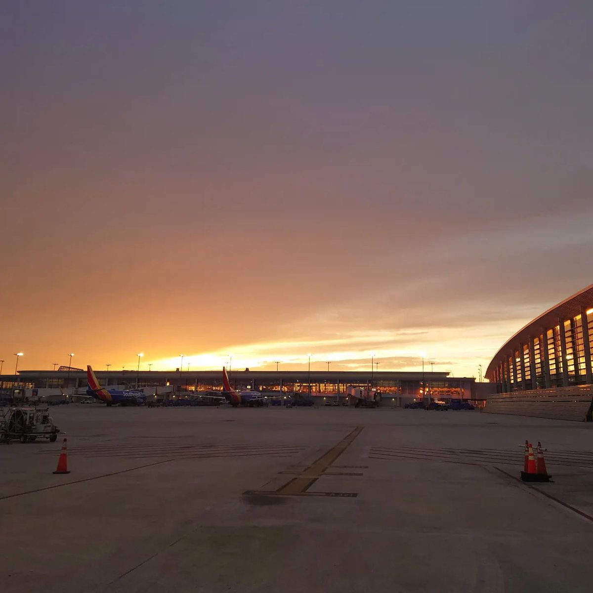 flyneworleans's tweet photo. Shining through the city with a little funk and soul #BTSArmy #BTS
📸: IG guziegu

#AirportTwitter | h/t @LASairport &amp; @MCO https://t.co/dn9s93D03h