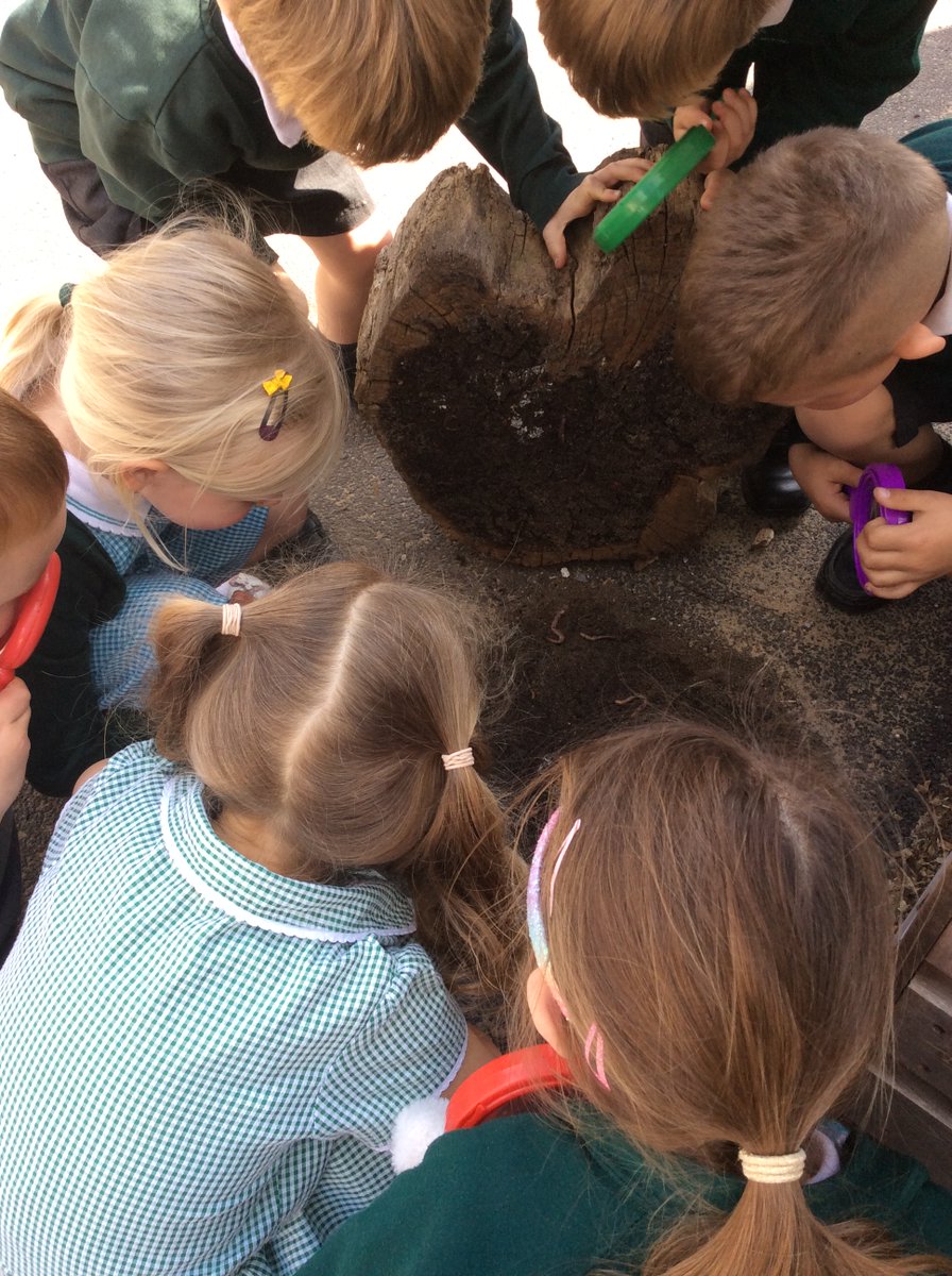 robin_cfs's tweet photo. What a beautiful week for bug hunting! Robin Class found a variety of creepy crawlies on their bug hunt. 🐝🦋🐞🪱 https://t.co/saeEgp7rrX