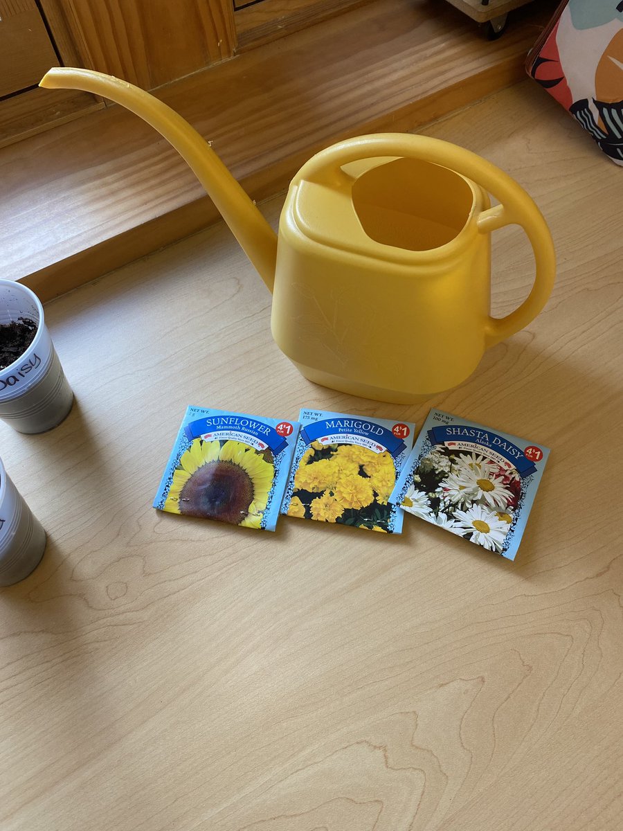 We can’t wait to watch our plants grow! 🌼🌻💛