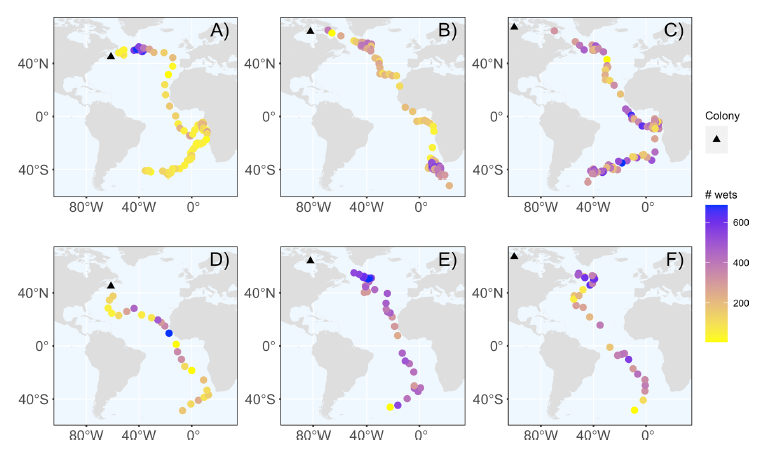 Joanna Wong (@jo_wng) on Twitter photo Using wet activity & light data from #geolocators, our new #ArcticTern paper shows individual terns use varied migration strategies🌎Larger terns used more direct routes, and 1 individual even stopped on land for 8 days!🏖️ Read more here😎: link.springer.com/article/10.100… <a href="/AugerMethe/">Marie Auger-Méthé</a> Using wet activity & light data from #geolocators, our new #ArcticTern paper shows individual terns use varied migration strategies🌎Larger terns used more direct routes, and 1 individual even stopped on land for 8 days!🏖️ Read more here😎: link.springer.com/article/10.100… <a href="/AugerMethe/">Marie Auger-Méthé</a>