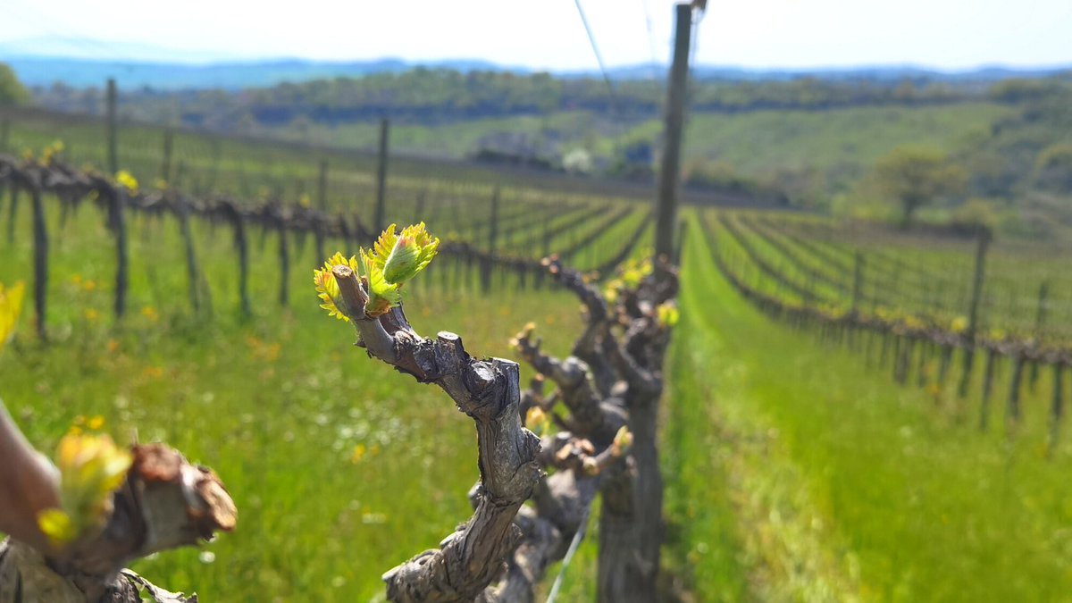 Con la primavera comincia un nuovo ciclo di vita🌱