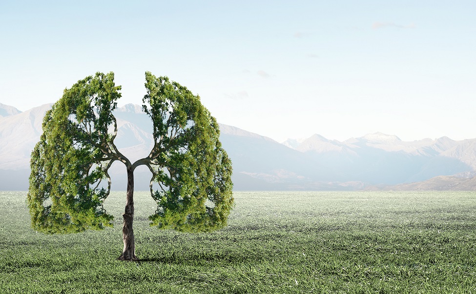 We are excited to announce a new strategic partnership with #sustainability consultancy <a href="/Square_Gain/">Square Gain</a>, as part of a joint commitment to support the ambitions for the achievement of a net zero #nhs by 2040.

Find out more: bit.ly/3Lw2OjZ