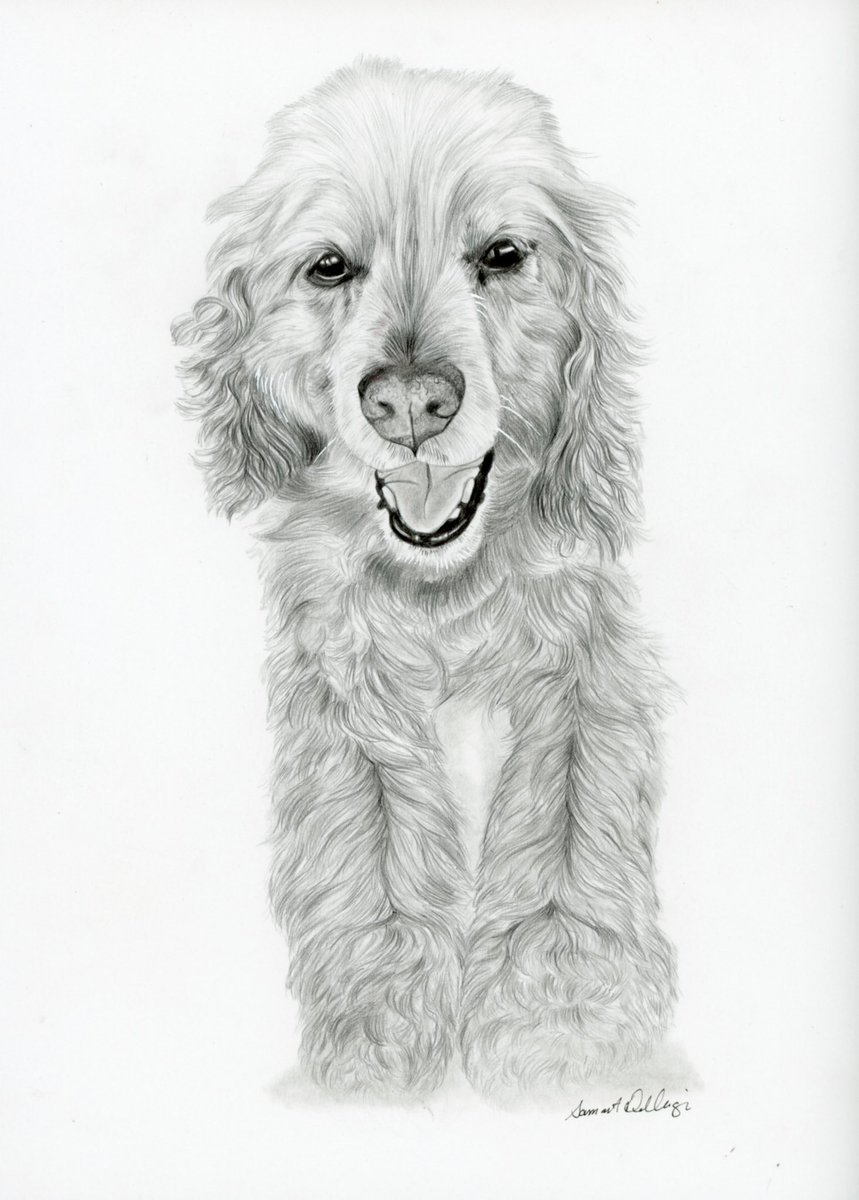 A recent pencil graphite #petportrait I completed for a client. Please DM me if u r interested in a custom art piece of your four-legged friend. #petartist #dogs #artisticbulldog