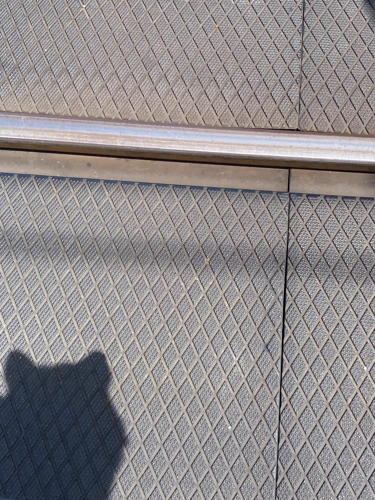 ワンコ散歩中の踏切に注意！電車通過直後は線路の電流が強くなる！