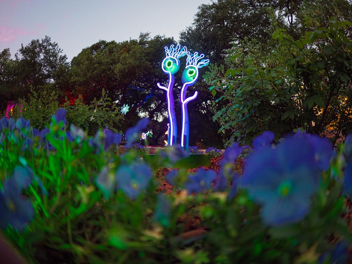 ZilkerGarden's tweet photo. Tonight, 6-10pm @ZilkerGarden Who's coming?
@IonArtInc #ATX #Austin #visitaustin #do512 #whenwherewhat #surrealgardenatx
https://t.co/I1jlV53XVT https://t.co/1UaomhJxES