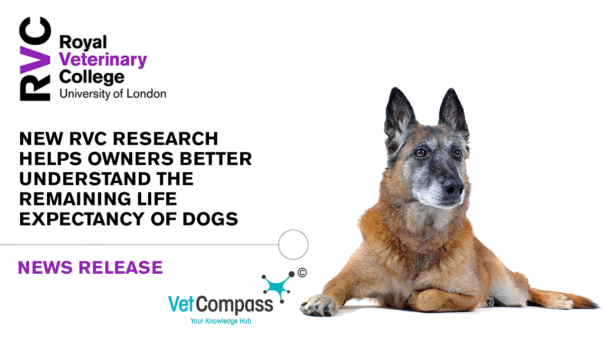 Royal Veterinary College (RVC) on Twitter "🐕 New research from our