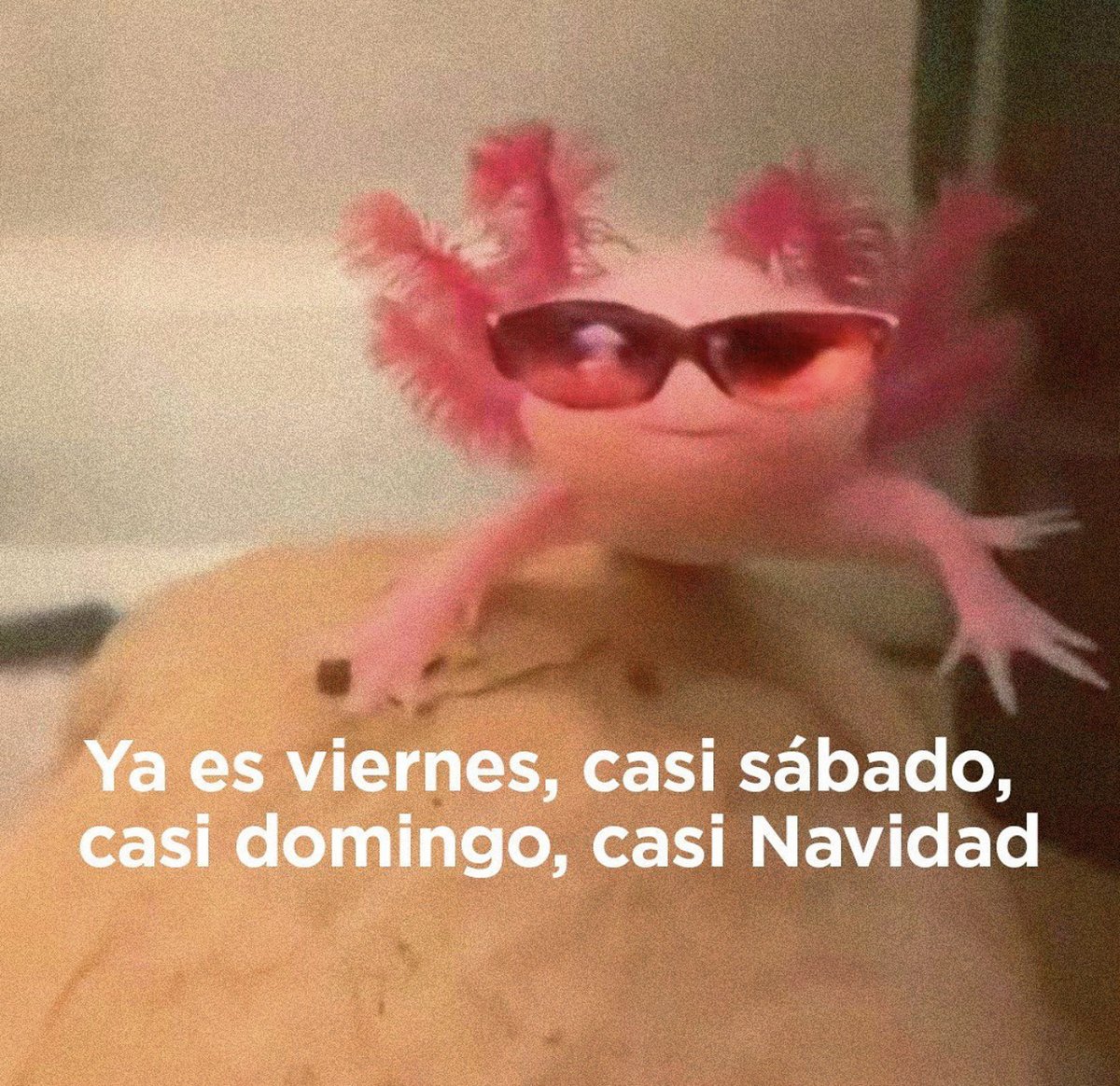 Guarromantico_'s tweet photo. https://t.co/V3DHygTSOW
