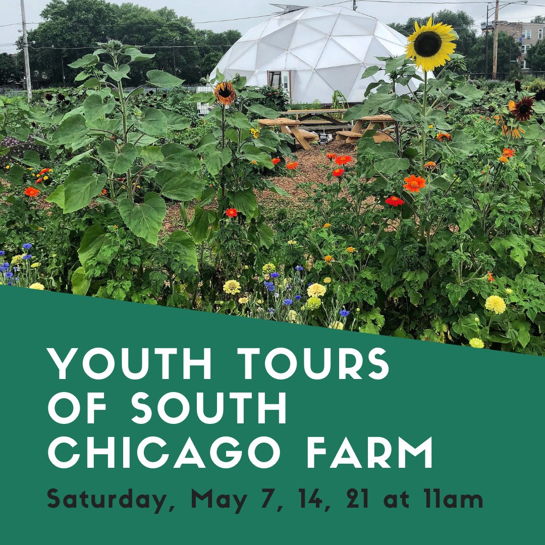 Urban Growers Collective tweet media