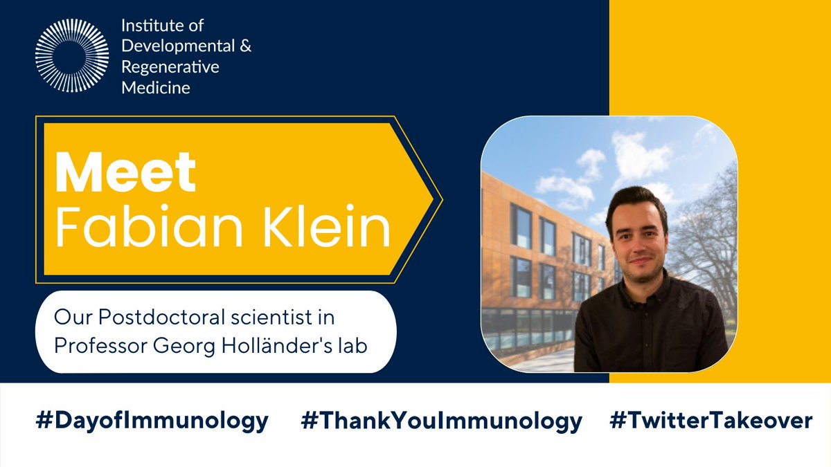 Let´s meet @FabianJKlein, who is a postdoc in the lab of Prof. Dr. Georg Holländer. He is excited to move to the brand new @IdrmOxford building next month!

More info about our #immunology #research group ➡️bit.ly/3Liilnw

@DayofImmunology @ilmaio0 #ThankYouImmunology