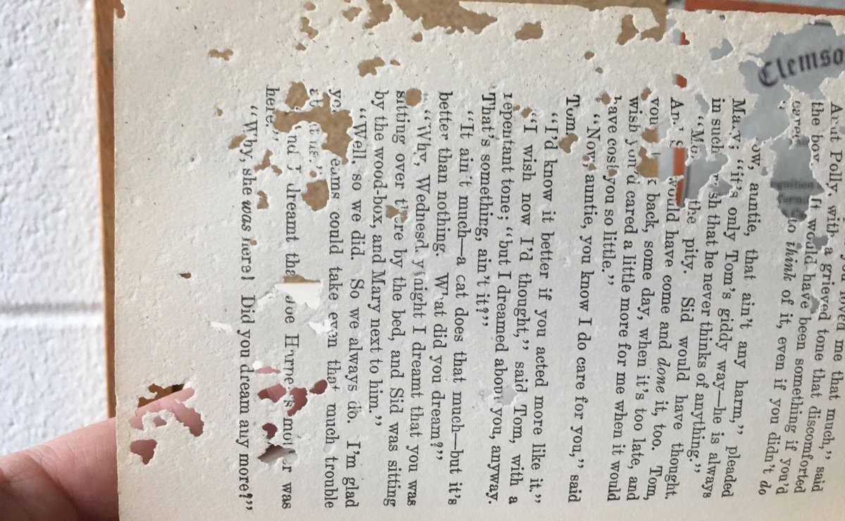 Museum Pests tweet media