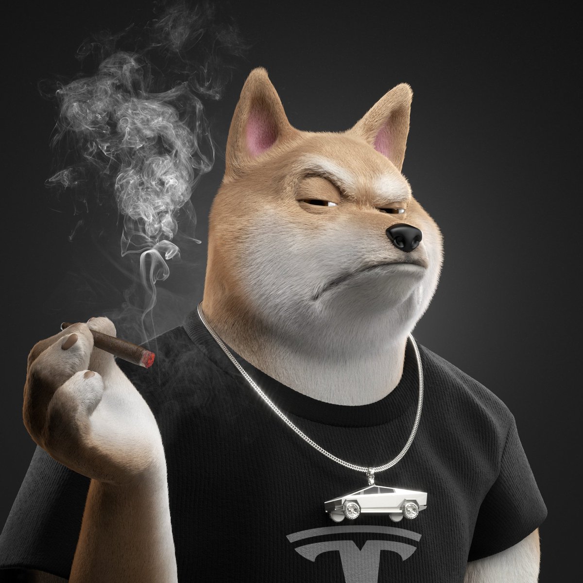 Congrats on sniping Twitter @ElonMusk 🐦
The Elon Shiba is waiting for you 👀

#ETH #NFTs #ElonMusk #SHIBARMY #NFTCommunity