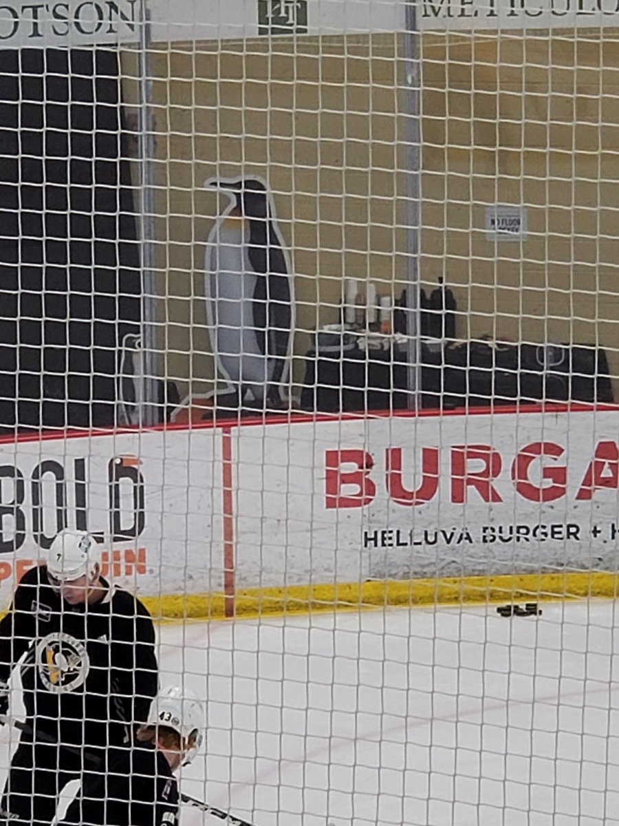 OtherNHLCrosby's tweet photo. There's a big cardboard cutout of an actual penguin overlooking practice. Just figured I'd let you know. https://t.co/nbm0DsWwUF