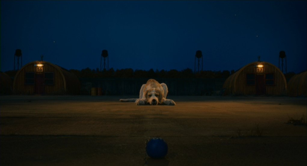 framesbygahee's tweet photo. fantastic mr. fox, 2009 ㅡ wes anderson https://t.co/0Qb8lJuKjF