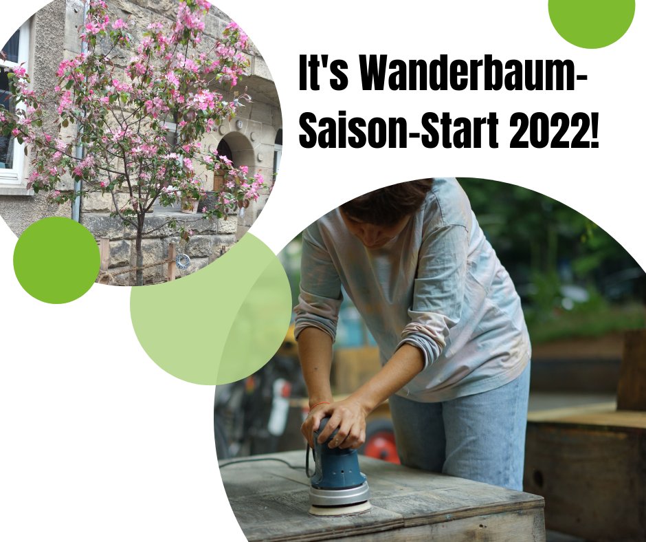 Während die Bleibebäume der vergangenen Jahre schon wieder stolze Blüten tragen, beginnen wir dieses WE mit der Modul-Aufbereitung für die neue Generation Wanderbäume! Wir sind diesen Samstag ab 12h bei St. Maria zum Schleifen und Ölen. Mithelfer*innen willkommen!💚