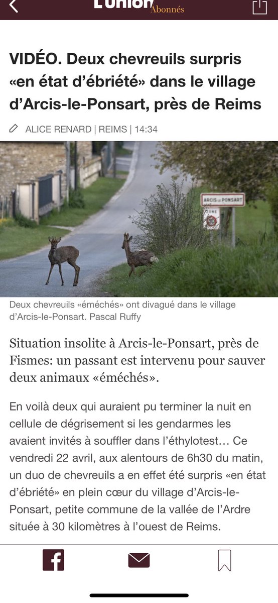 Même les chevreuils 🤪⁦@UnionArdennais⁩ #champagne