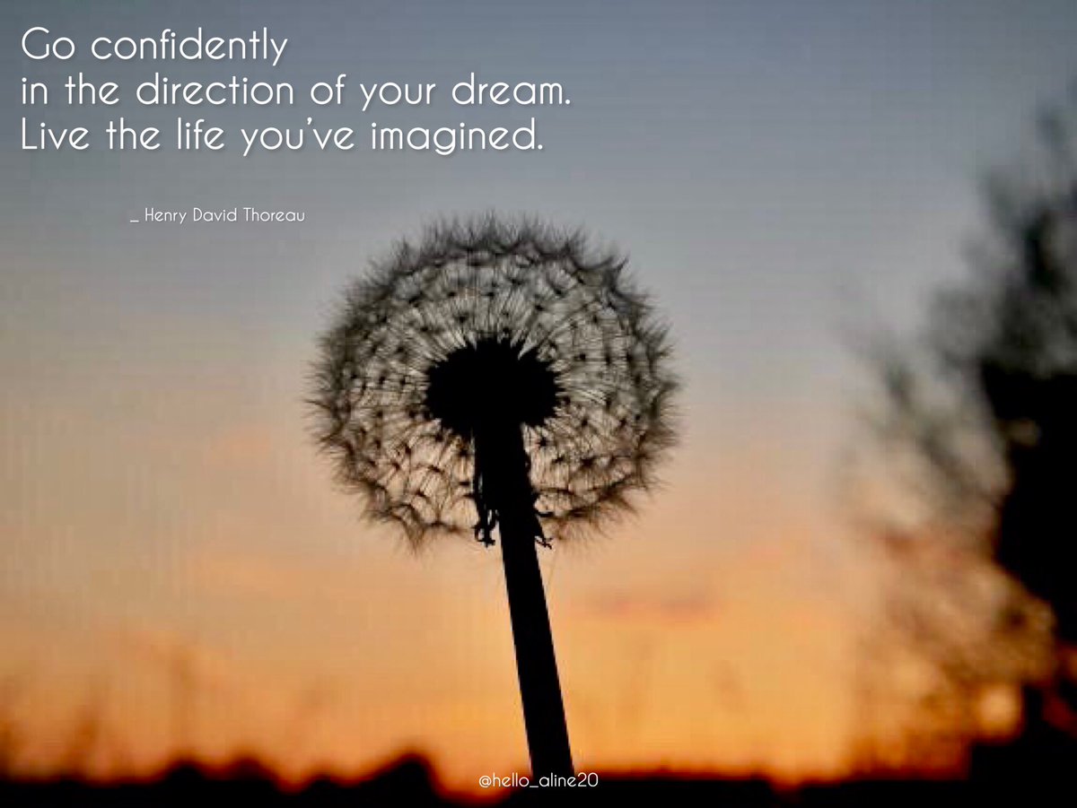 hello_aline20's tweet photo. Don’t be afraid what people think of what you do. Do what you want. Follow the signs. Live your life.
#lifequotes #dandelion https://t.co/WcFBsDUP2k