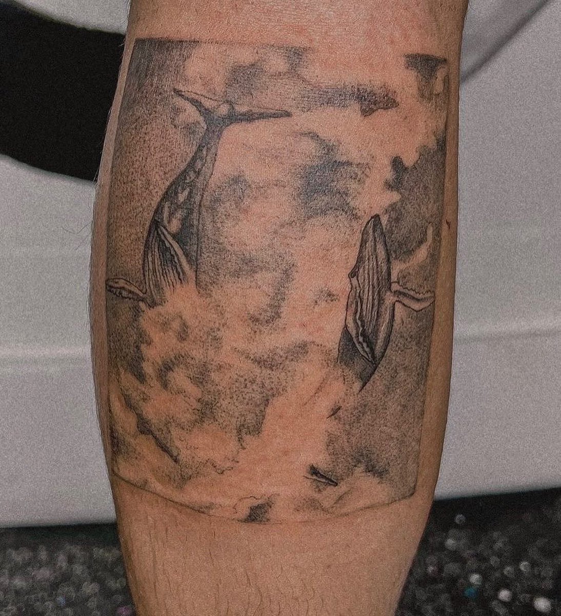 Roni James tweet media