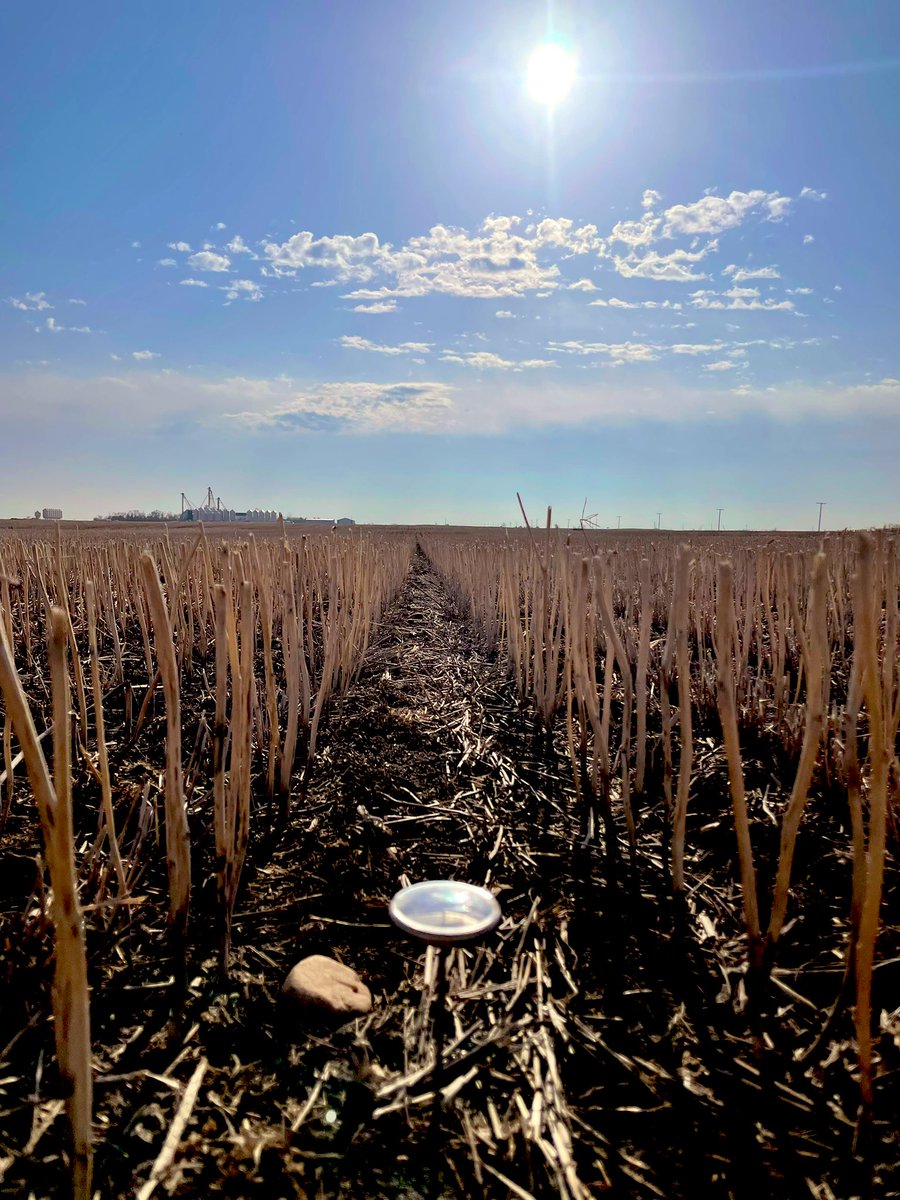 ➖Soil Temperature➖
⏰8:20AM, Thursday, April 28, 2022
🌡Just above -2
📍Canola stubble by <a href="/PrecisionAg1/">Precision Ag</a>

@SaskCanola #SaskCanola #Plant22