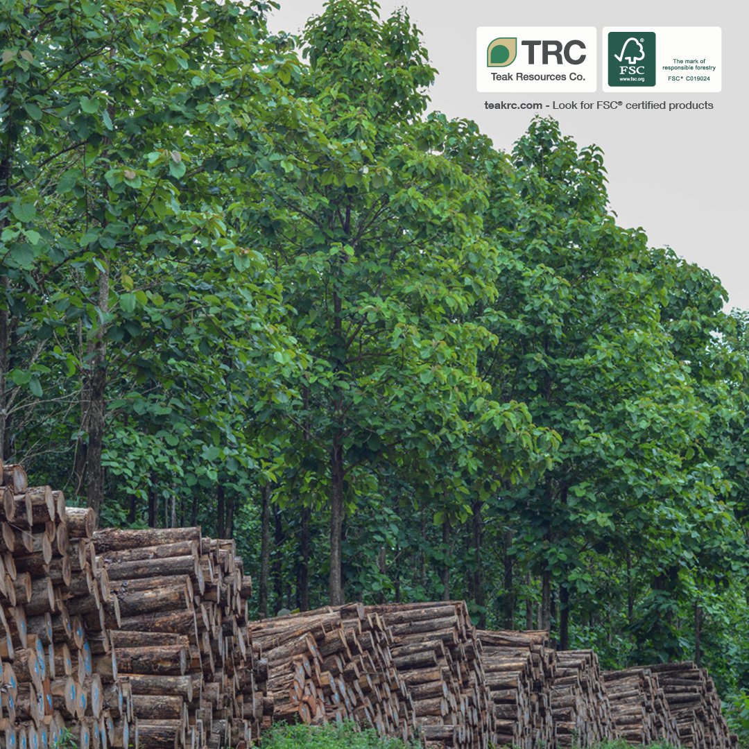 teakrc's tweet photo. Actions to promote preservation and face deforestation go hand in hand when the goal is to save native forests around the world. This encourages Teak Resources Co. to invest capital and efforts in the reforestation of degraded areas.

→ https://t.co/YBYCPj2yym

#TRC #Teak https://t.co/l9PIe8WhiZ