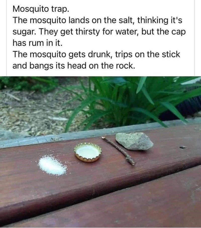 jasonlamb1976's tweet photo. #mosquito https://t.co/yLxxdTTiNB