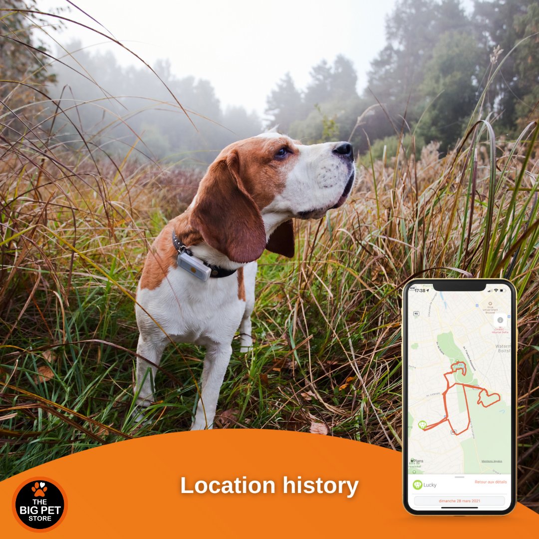bigpetstoreuk's tweet photo. Now available in store
Weenect Pet Tracker
A one-stop GPS solution to keep an eye on your pet, wherever it is.
#weenect #pettracker #tracker #weenecttracker #thebigpetstore #halesowen #birmingham https://t.co/mnub8jgSlp