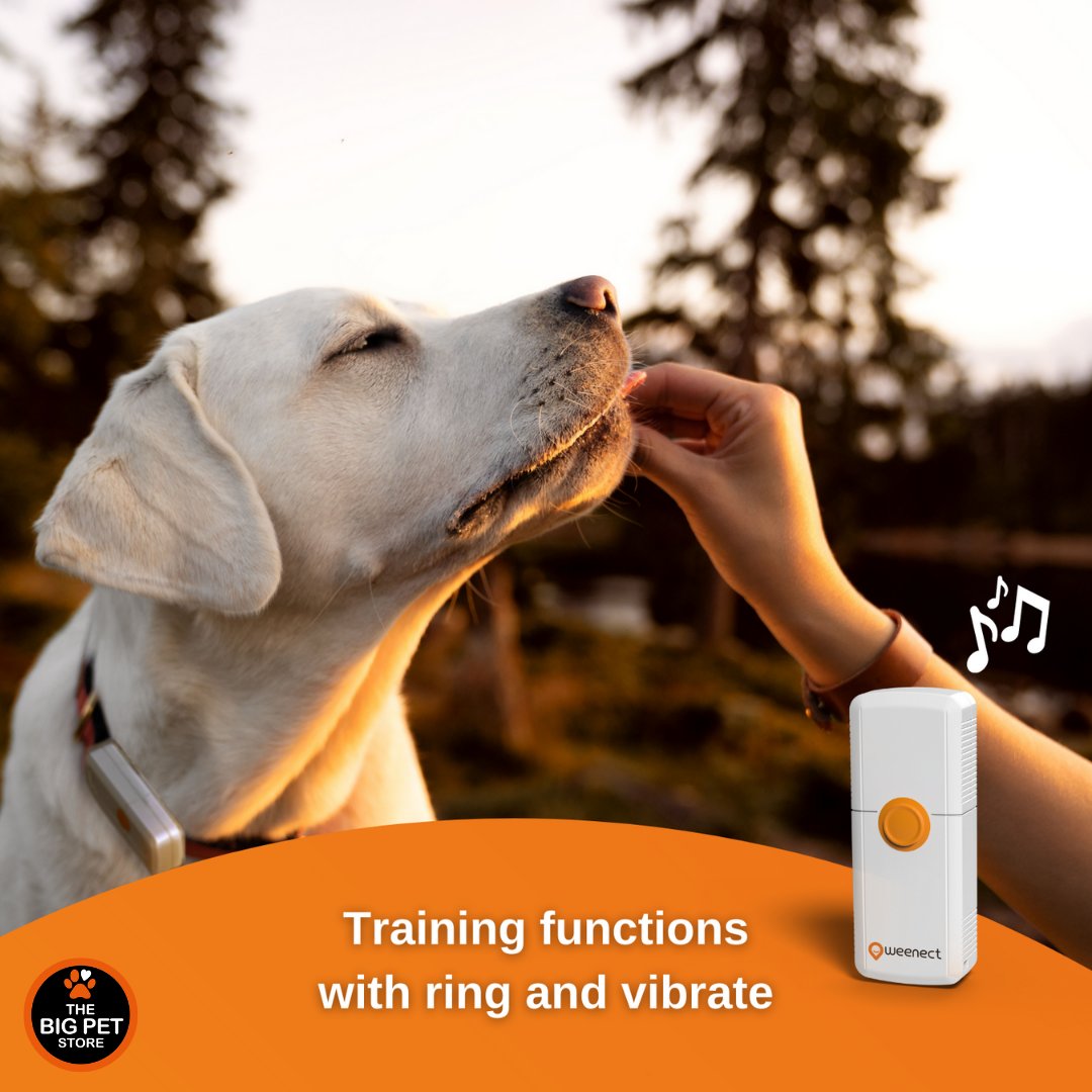 bigpetstoreuk's tweet photo. Now available in store
Weenect Pet Tracker
A one-stop GPS solution to keep an eye on your pet, wherever it is.
#weenect #pettracker #tracker #weenecttracker #thebigpetstore #halesowen #birmingham https://t.co/mnub8jgSlp