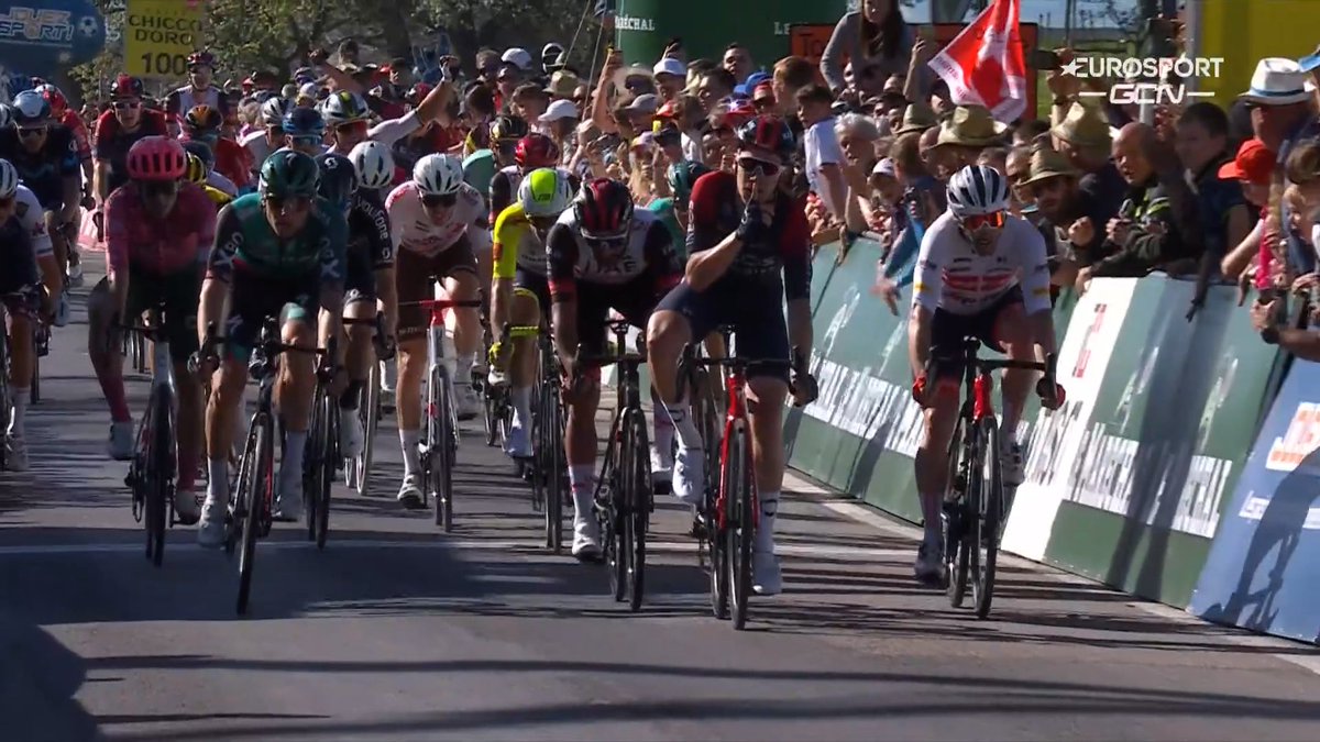 Domestique tweet media