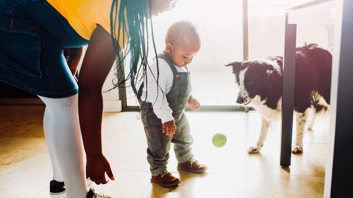 BuddyVpets's tweet photo. Happy National Kids &amp; Pets Day!

There's not much sweeter than children with their beloved pets.

#NationalKidsandPetsDay #KidsandPets #kidslovepets #buddyvalastropets https://t.co/RU0naYjb7B