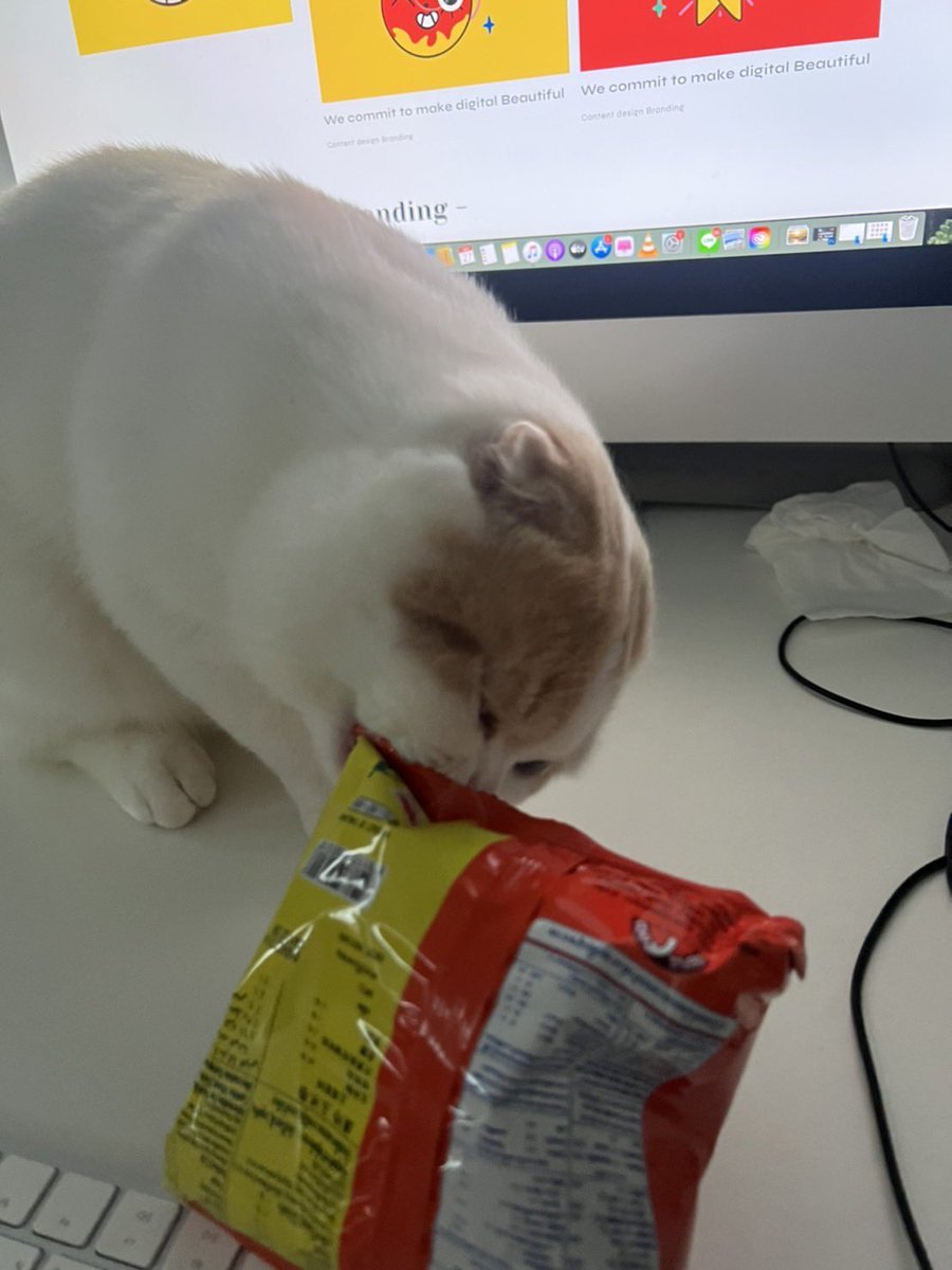 toastderr_'s tweet photo. ยุคนี้อยู่ยากนะ คอนเน่5บาทก็ขโมยกัน https://t.co/1Gn44j0CFq