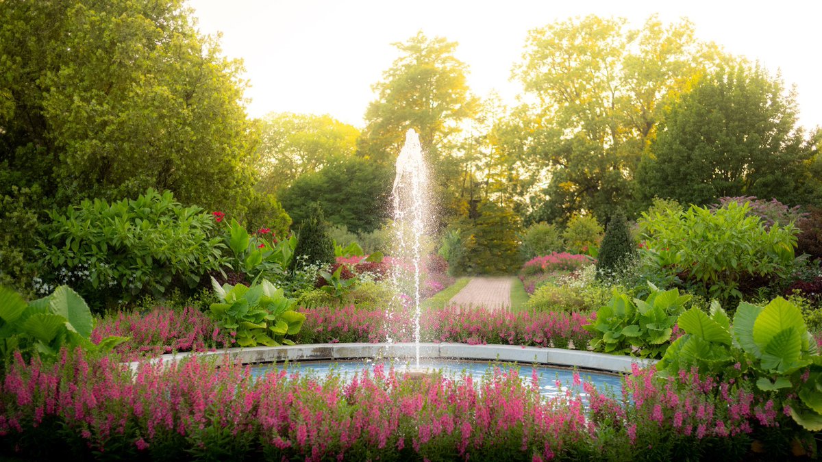 kyler_steele's tweet image. the camera            vs             the photos